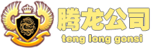 腾龙代理公司 | 客户需求制定详细服务